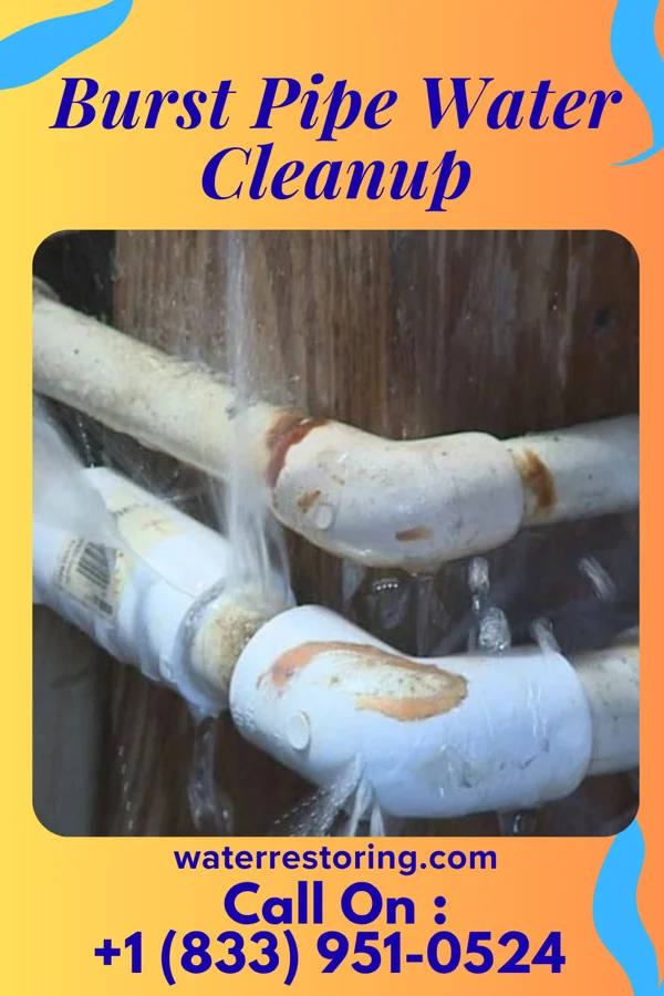 Burst Pipe Water Cleanup in Jeddo, PA