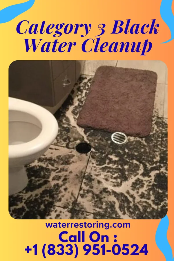 Category 3 Black Water Cleanup in Jeddo, PA