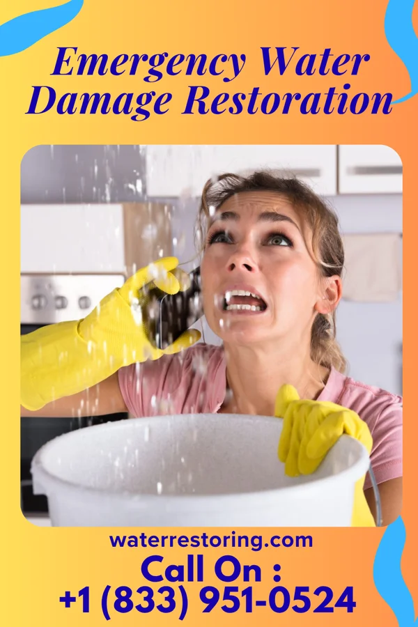 Emergency Water Damage Restoration in Jeddo, PA
