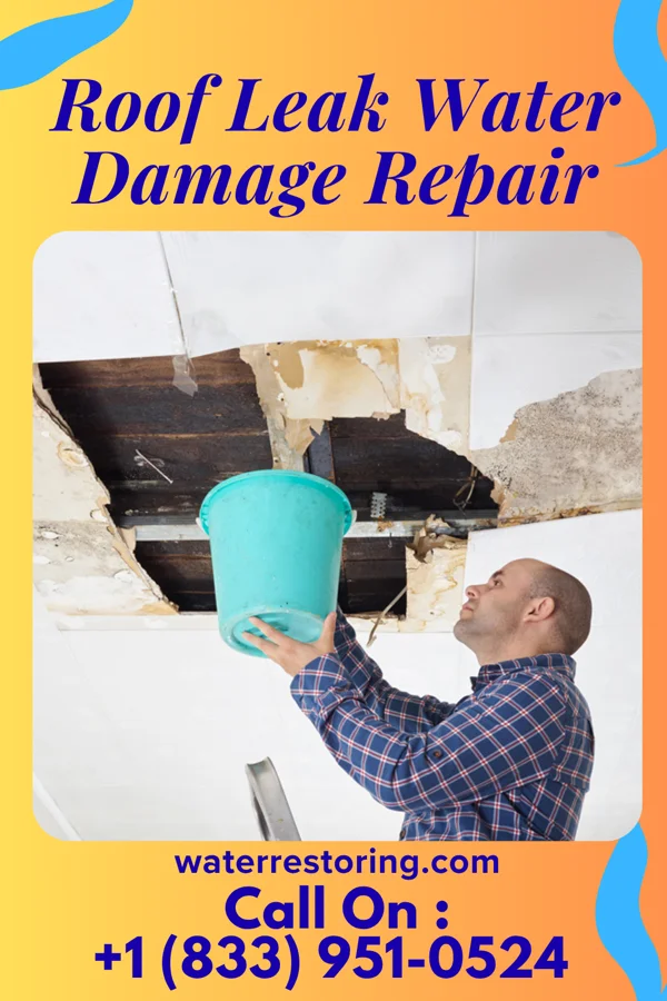 Roof Leak Water Damage Repair in Jeddo, PA