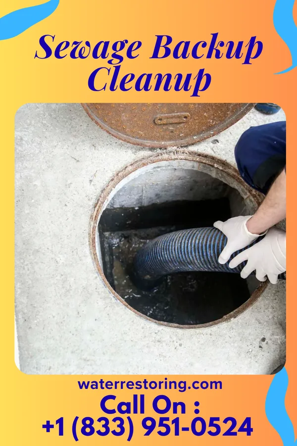 Sewage Backup Cleanup in Jeddo, PA