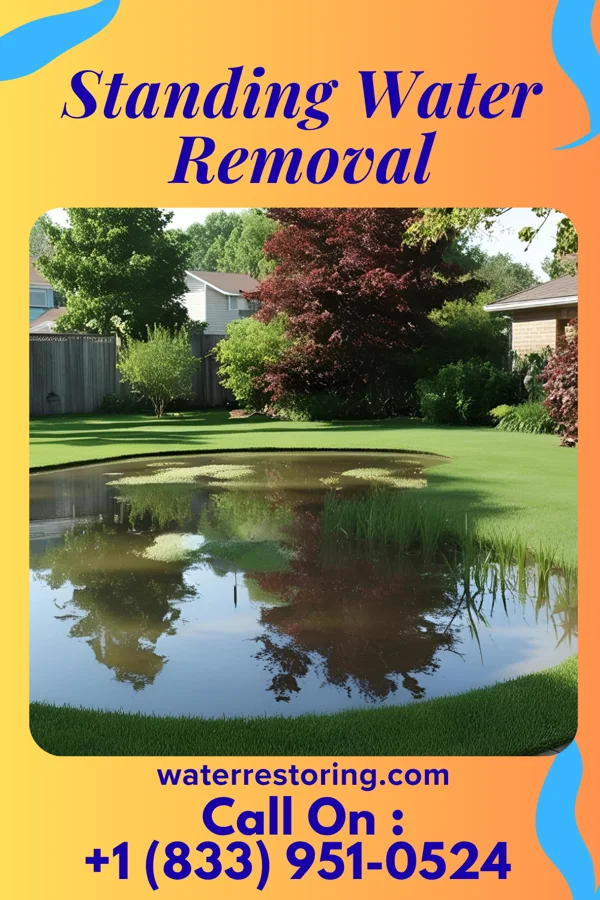 Standing Water Removal in Jeddo, PA